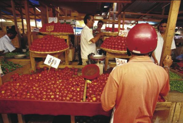 Tomatoes